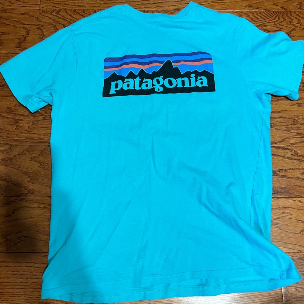 Patagonia Turquoise Short Sleeve Logo Tee